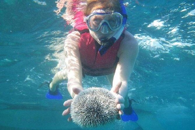Scuba Doo Underwater Scooter in Punta Cana (Half Day) - Price and Value