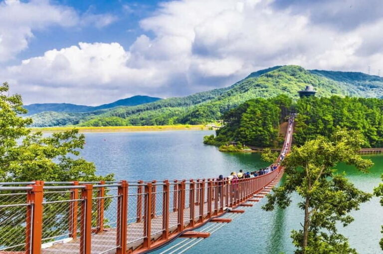 Seoul: DMZ, 3rd Tunnel and Optional Suspension Bridge Tour - Who Should Take This Tour?