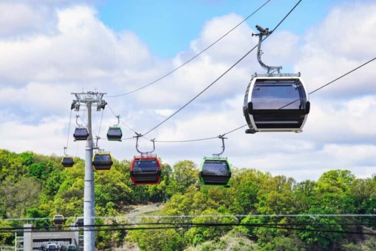 Seoul: DMZ Guided Tour with Suspension Bridge and Gondola - The Advantages of This Tour