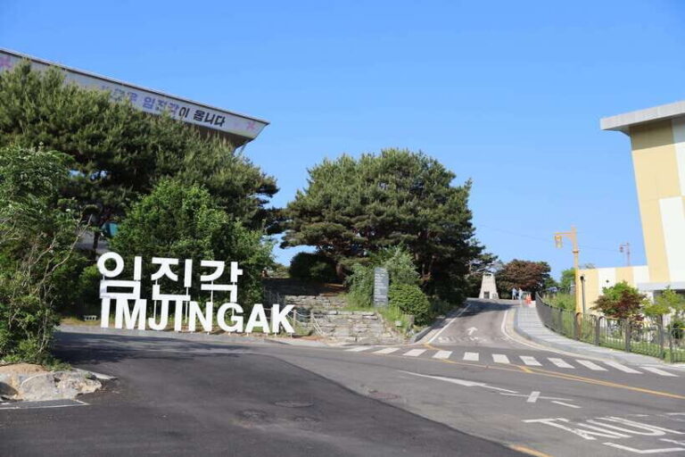 Seoul: DMZ The 3rd Tunnel and Suspension Bridge Tour - The Practicalities: What You Need to Know