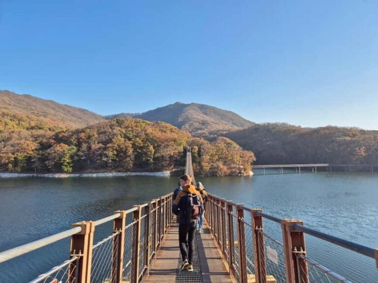 Seoul: DMZ Tour & North Korean Defector Meet Up (As Add-on) - Who Is This Tour Best For?