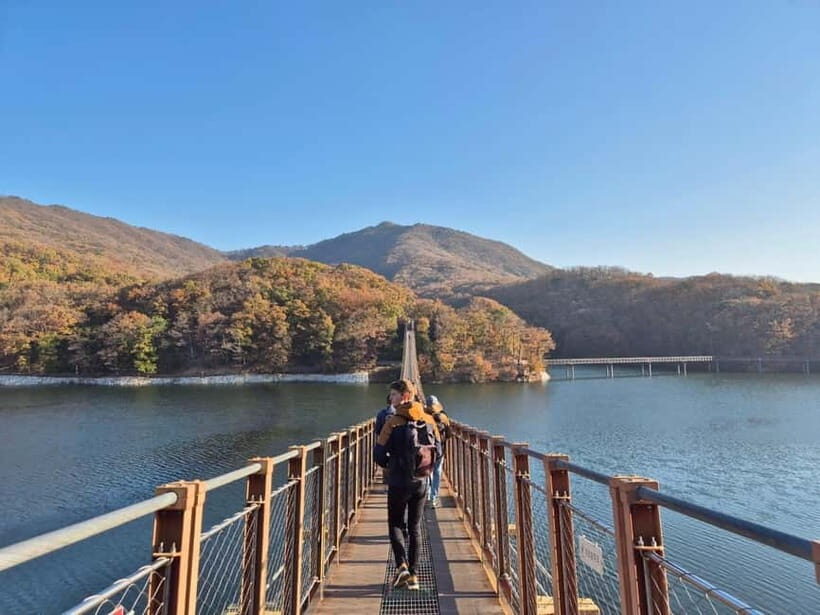 Seoul: DMZ Tour & North Korean Defector Meet Up (As Add-on) - Who Is This Tour Best For?