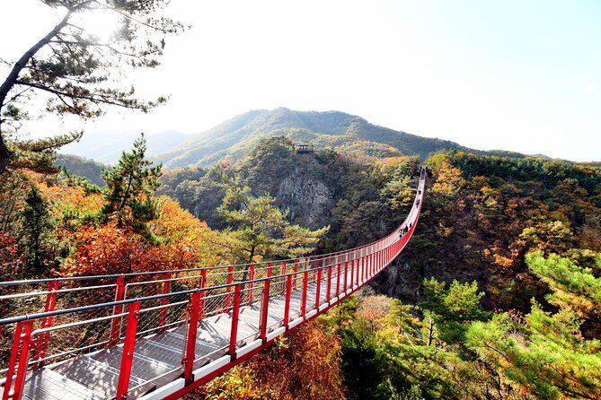 Seoul DMZ Tour with 3rd Tunnel and Red Suspension Bridge - The Sum Up