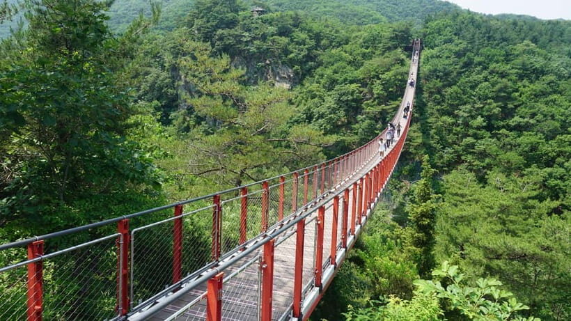 Seoul: DMZ Tour with Optional Suspension Bridge - What Travelers Love (and What They Critique)