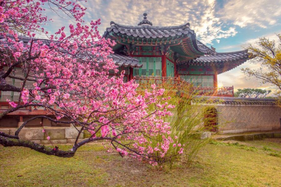 Seoul: Gyeongbok Palace and Bukchon Hanok Walking Tour - The Overall Value