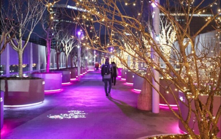 Seoul: Moonlight Rainbow Fountain Show Night Tour - The Value of Guided Night Tours