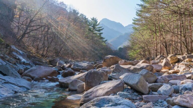 Seoul: Mt Seorak Hike with Naksansa Temple or Nami Island - The Real Value of the Tour