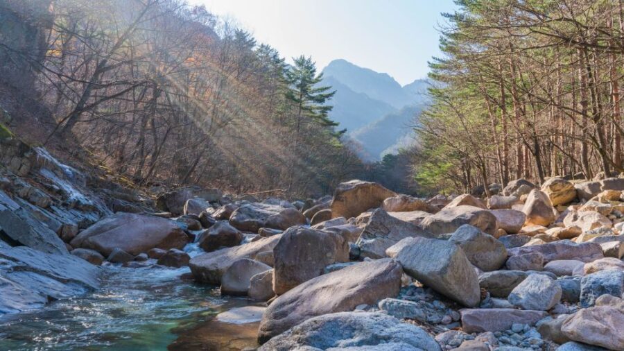 Seoul: Mt Seorak Hike with Naksansa Temple or Nami Island - The Real Value of the Tour