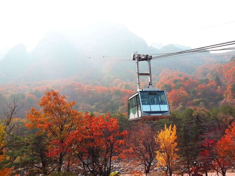 Seoul: Mt.Seorak, Nami Island & Korean Garden, No Shopping - The Practicalities