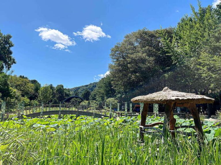 Seoul: Nami Island & Petite France Tour with Railbike Option - The Itinerary: What You Can Expect