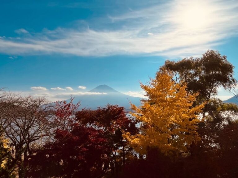 Shinjuku: Mount Fuji Panoramic View and Shopping Day Tour - Scenic Stops at Mount Fuji and Lake Kawaguchi