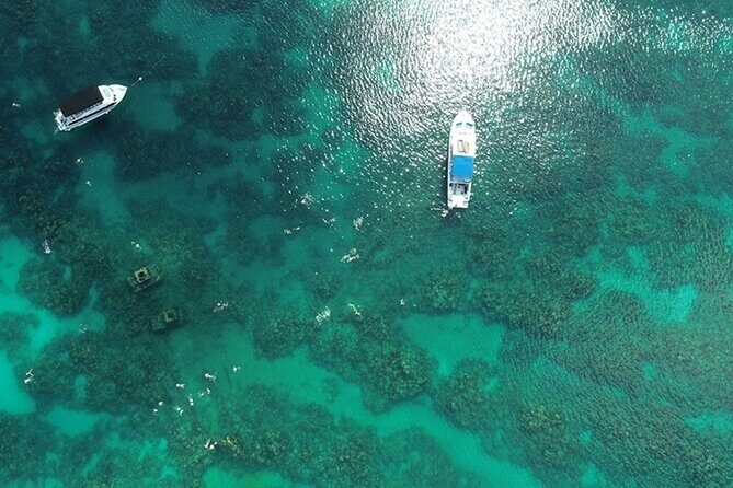 Shipwreck Snorkel in Bermuda - The Sum Up: Who Should Book This?