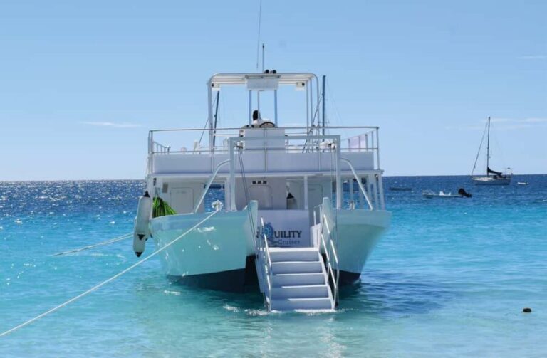 Shore Excursion Barbados Beach Day & Turtle Swim Experience - Who Will Love This Tour?