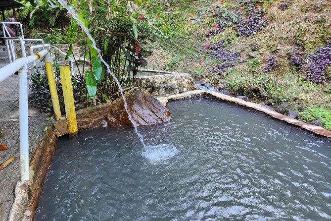 Shoreside Fun-Day with Titou Gorge, Hot Springs & Champagne Reef - Setting the Scene: What to Expect on the Tour