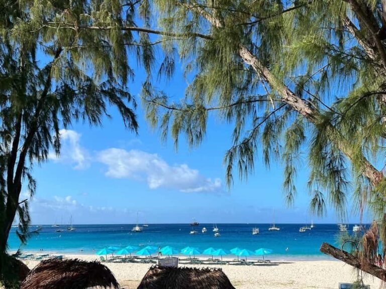 Shuttle to Carlisle Bay inclusive of beach chair - The Itinerary Breakdown