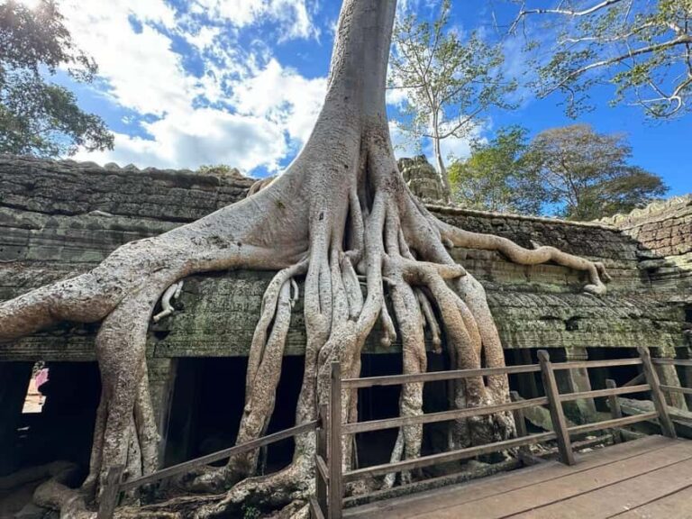 Siem Reap: Angkor Wat Small Group Tour with Spanish Guide - Transport and Comfort