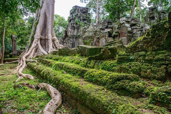 Siem Reap Bike the Angkor Temples Guided Tour with Lunch - Why the Reviews Love It