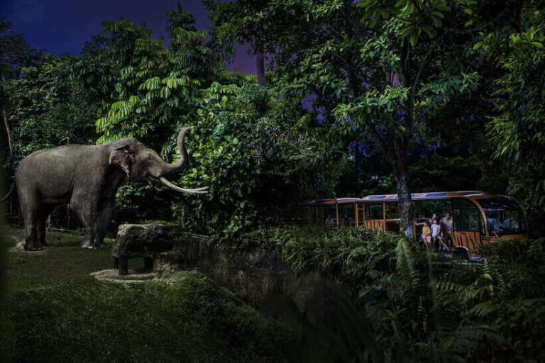 Singapore: Night Safari and Tram Ride Ticket - Detailed Breakdown of the Night Safari Experience