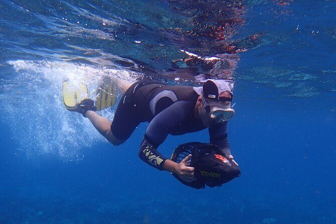 Small-Group Sea Scooters Snorkel at Mangel Halto Beach in Aruba - The Sum Up: Is This Tour Right for You?