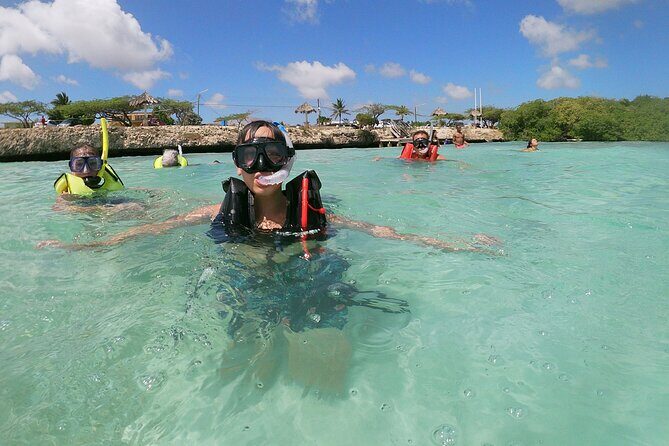Small Group Snorkeling at Mangel Halto Aruba - Who Would Love This Tour?