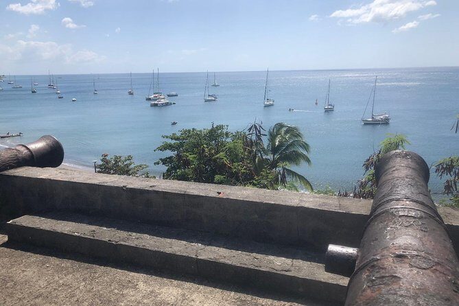 Small-Group Tour: Unmissable Martinique with St Pierre and More - The Guide and Commentary