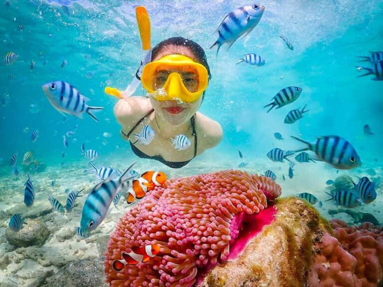 Snorkel & Chill: Nemo Island Trip from Pattaya - What’s Included and What’s Not