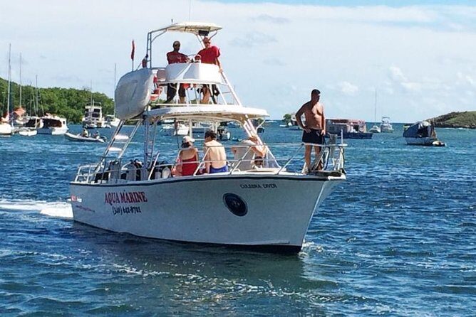 Snorkeling Adventure in St Thomas - The Marine Life: What Youll See and Why it Matters