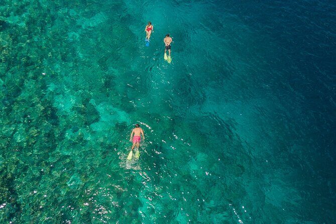 Snorkeling in Menjangan Island with Pickup and Lunch - Practical Details and Tips