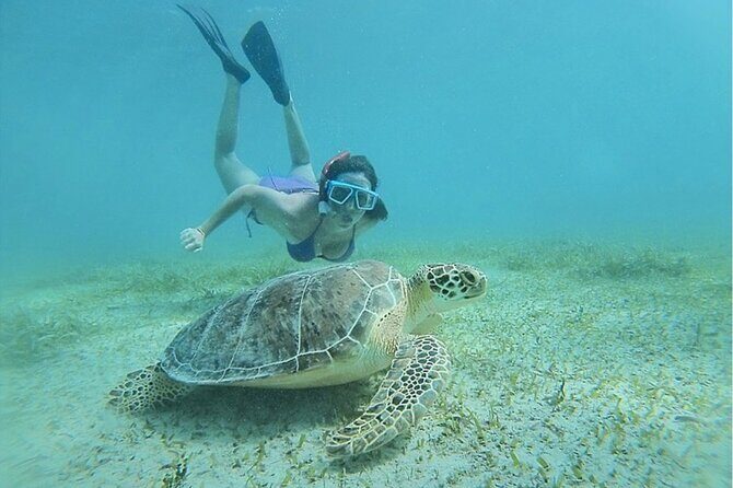 Snorkeling Tour to Vieques Island only 30 minutes away! - The Authentic Experience: What Makes It Special