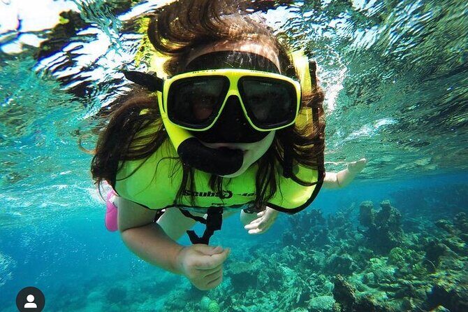 Snorkeling with Sea Turtles - An In-Depth Look at the Snorkeling Tour