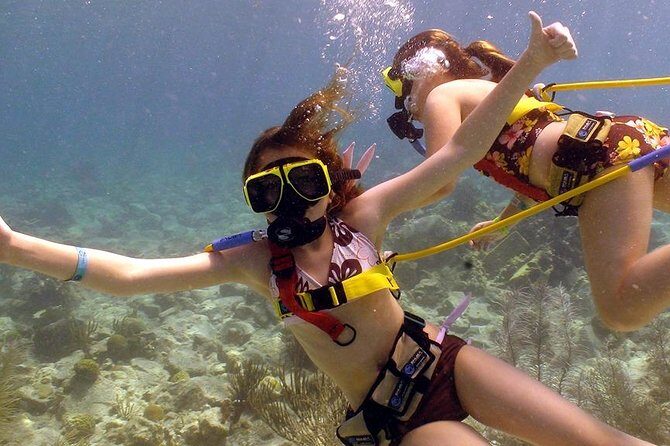 Snuba Adventure at Coral World Ocean Park - The Itinerary: Step-by-Step