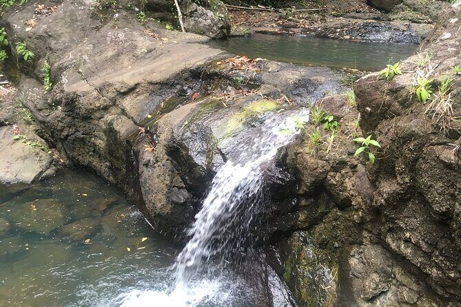 Soufriere Volcano Experience - First Stops: A Taste of Local Flavor and Scenic Beginnings
