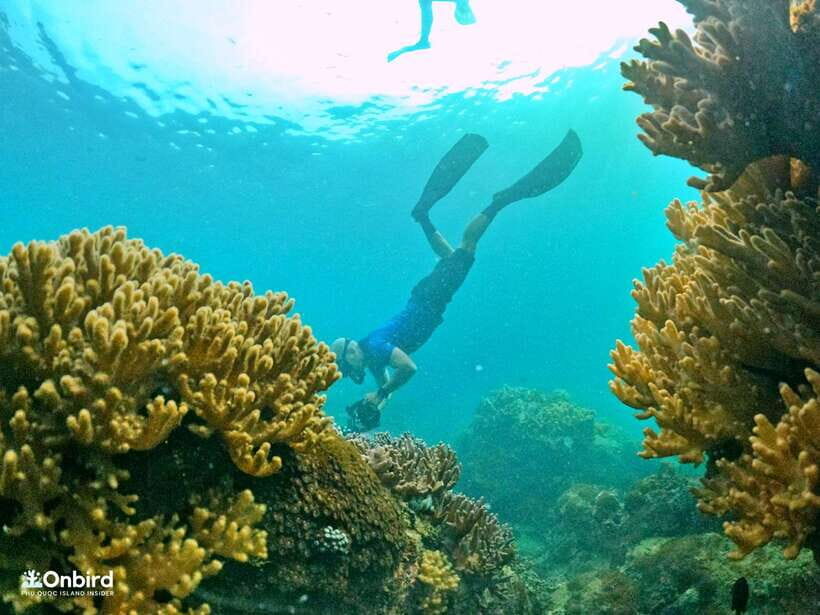South Phu Quoc: Pro Snorkeling Tour by Speedboat - The Value of the Pro Snorkeling Tour