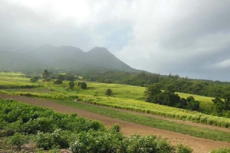 St Kitts: Jungle Bikes Off-Road ATV Tour - A Closer Look at the Itinerary and Experience