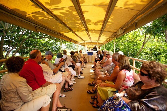 St Kitts Scenic Train Tour (Hotel or Ship) - Final Thoughts
