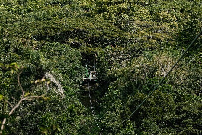 St. Kitts Zipline Experience - Safety and Comfort