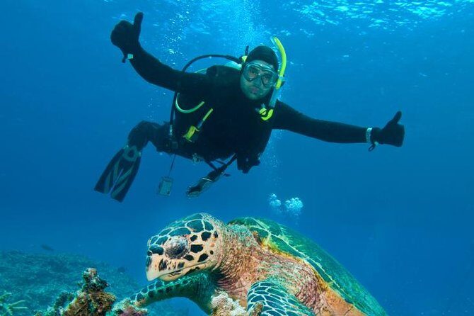 St Maarten Scuba Diving for Certified Divers - Why This Tour Is Worth Considering