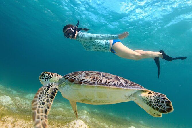 St. Thomas Maho Bay Turtle Snorkel Sail - Ritz-Carlton - The Drawbacks and Considerations