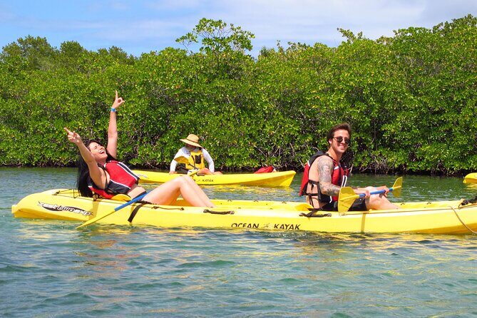 St Thomas Mangrove Lagoon Kayak and Snorkel Tour in the US Virgin Islands - Practical Tips for Participants