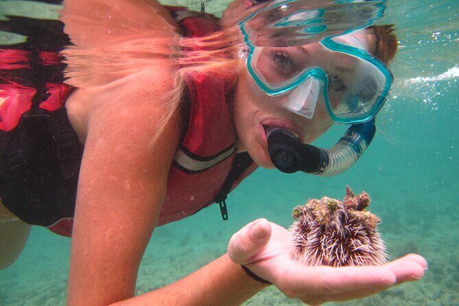 St Thomas Shore Excursion: Mangrove Lagoon Kayak and Snorkel Tour - Exploring the Itinerary: What to Expect