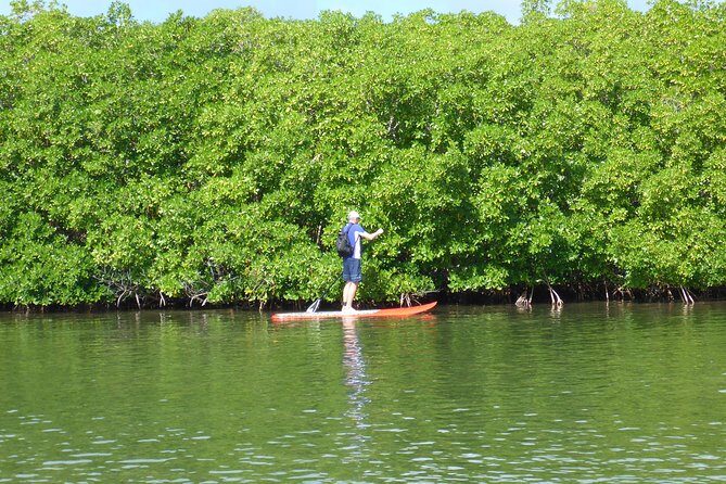 Stand up paddle in paradise - The Value and Who It’s For
