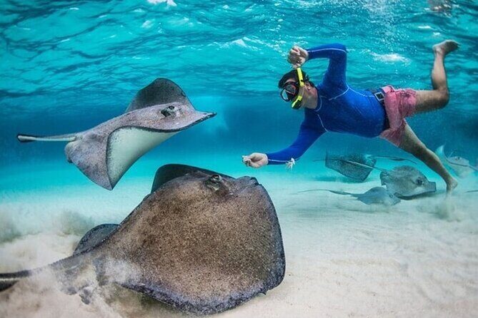 Stingray City Sandbar, Coral Gardens Snorkeling & Star Fish Point - Stingray City Sandbar: Up Close with the Gentle Giants