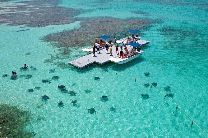 Stingray City - Is It Worth the Price?