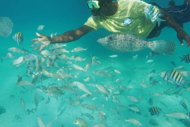 Stingrays, Starfish and Snorkeling Tour - Final Thoughts