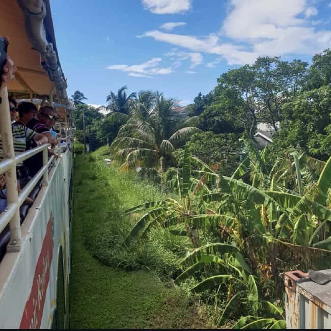 Sugar Train Tour & Drinks|Pick-Up &Drop Off From Cruise Port - Overview of the Sugar Train Experience