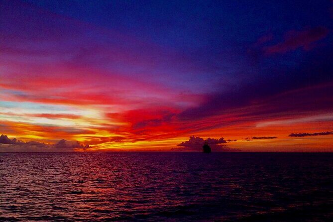 Sunset & Champagne Cruise on a Classic Schooner with boat dogs - Authentic Traveler Insights
