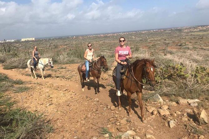 Sunset Horseback Ride in Aruba - The Pros and Cons