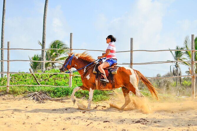 Sunset Horseback Riding Tour in Punta Cana (Private Option) - What Travelers Say: Authentic Perspectives