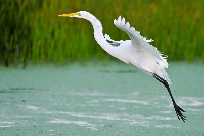 Sunset Kayak Tour in the Mangrove Lagoon, St Thomas - The Itinerary in Detail