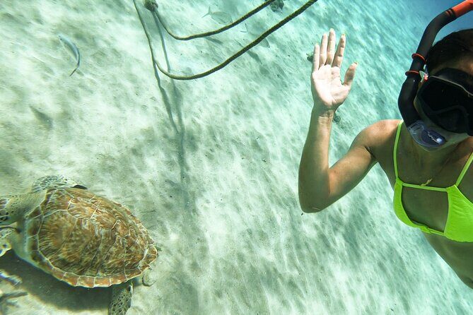 Swim with Turtles at Turtle Bay, Curacao: Boat, Blue Room Cave - Final Thoughts